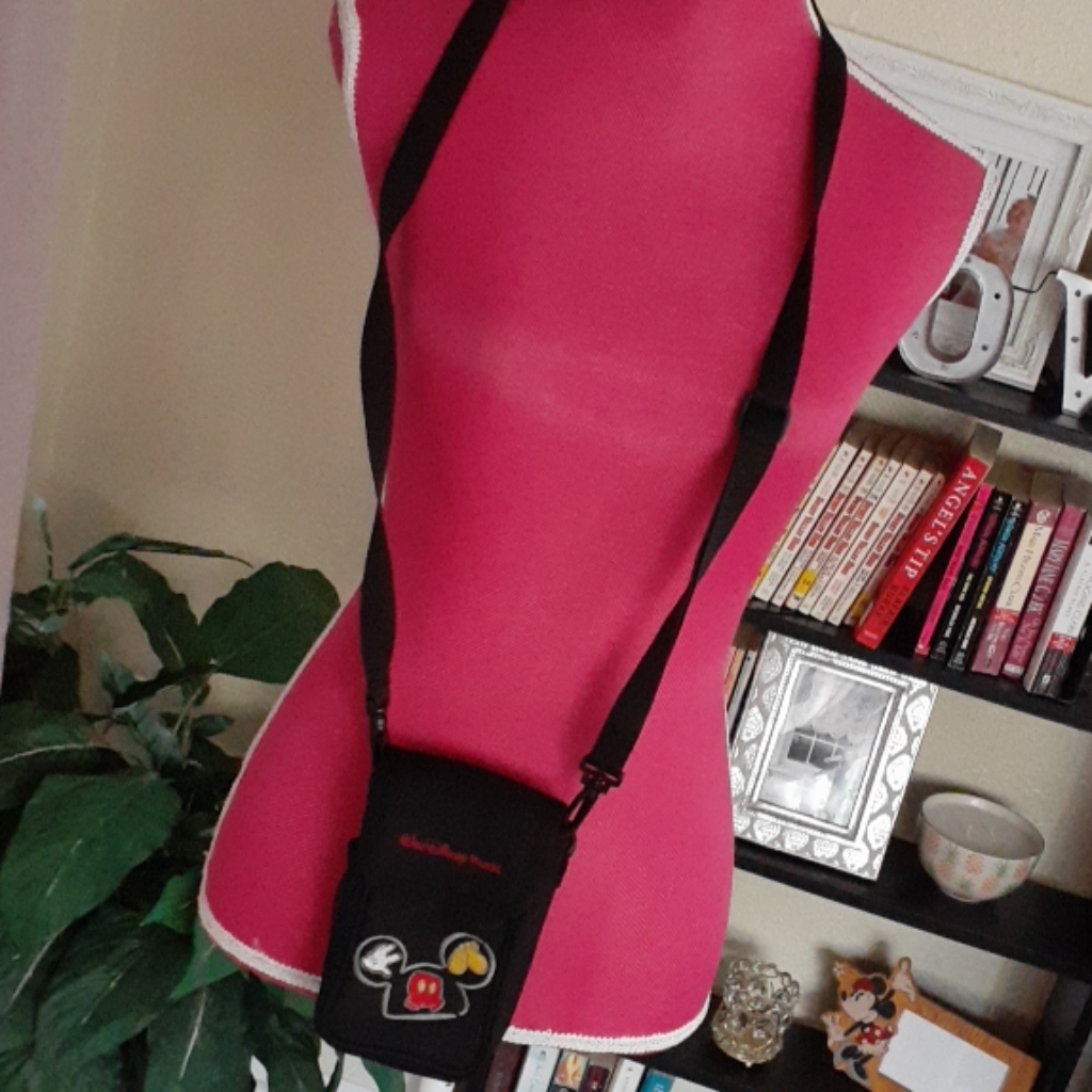 Disney Camera Case